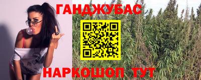 индика Будённовск