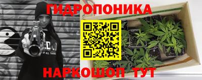 винт Донецк