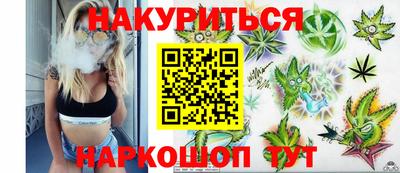 сатива Камышлов