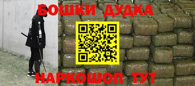 индика Будённовск