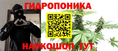 индика Будённовск