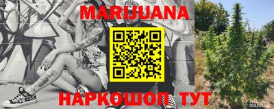 индика Будённовск