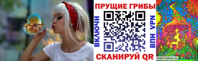 Галлюциногенные грибы мухоморы  купить   Конаково 