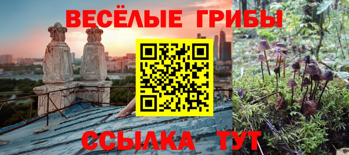 Галлюциногенные грибы ЛСД Конаково