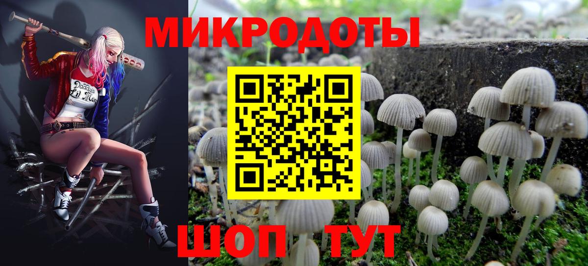 Галлюциногенные грибы прущие грибы  Вход с VPN  Конаково 